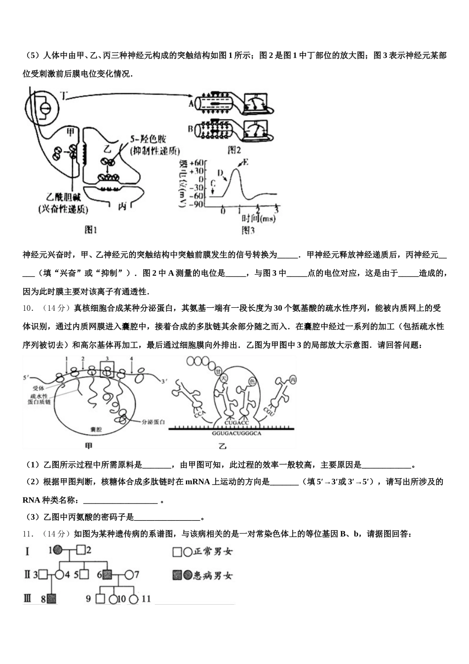 云南省广南县第二中学校2025届高一生物第二学期期末质量检测试题含解析_第3页