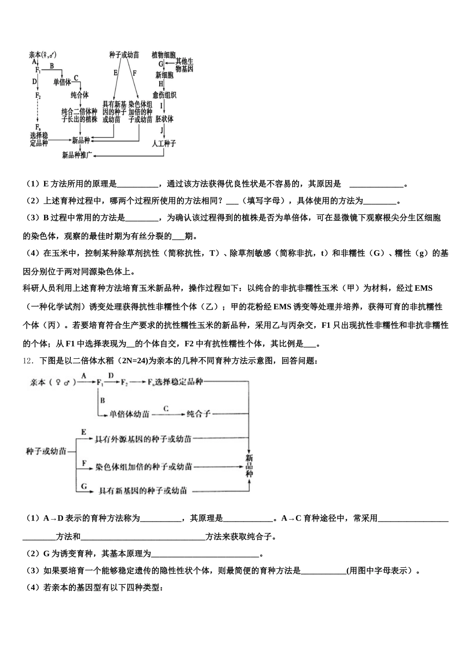 云南省丘北二中2024-2025学年生物高一第二学期期末质量跟踪监视试题含解析_第3页