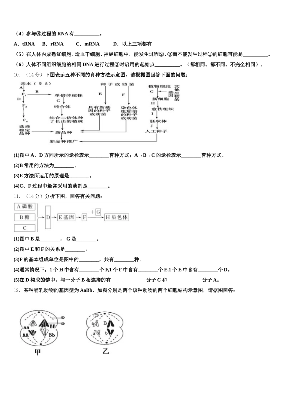 2025届云南省昌宁一中生物高一第二学期期末调研模拟试题含解析_第3页