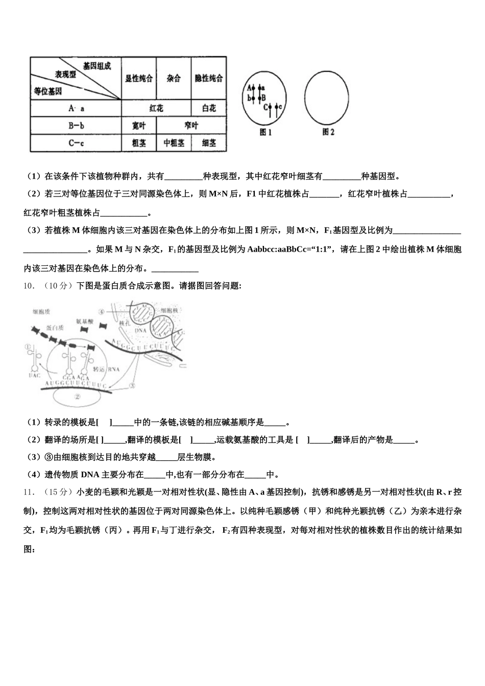 2025届云南师范大学附属中学高一下生物期末统考试题含解析_第3页