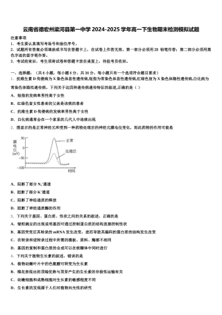 云南省德宏州梁河县第一中学2024-2025学年高一下生物期末检测模拟试题含解析