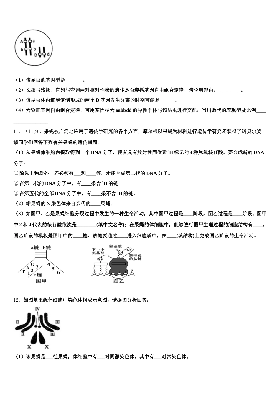 云南省通海县三中2025年高一生物第二学期期末综合测试模拟试题含解析_第3页