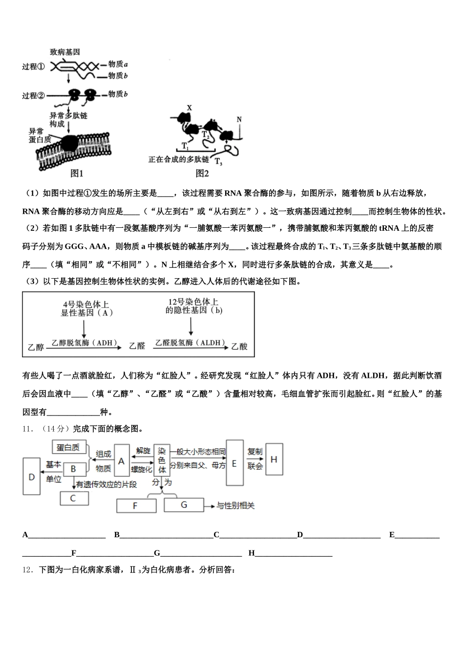 云南省怒江州贡山三中2024-2025学年高一生物第二学期期末考试试题含解析_第3页