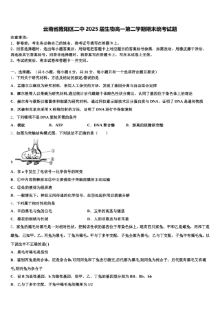 云南省隆阳区二中2025届生物高一第二学期期末统考试题含解析