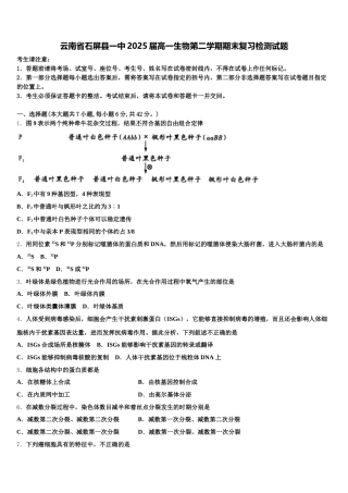 云南省石屏县一中2025届高一生物第二学期期末复习检测试题含解析