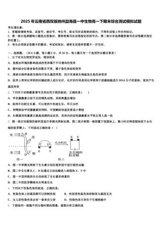 2025年云南省西双版纳州勐海县一中生物高一下期末综合测试模拟试题含解析