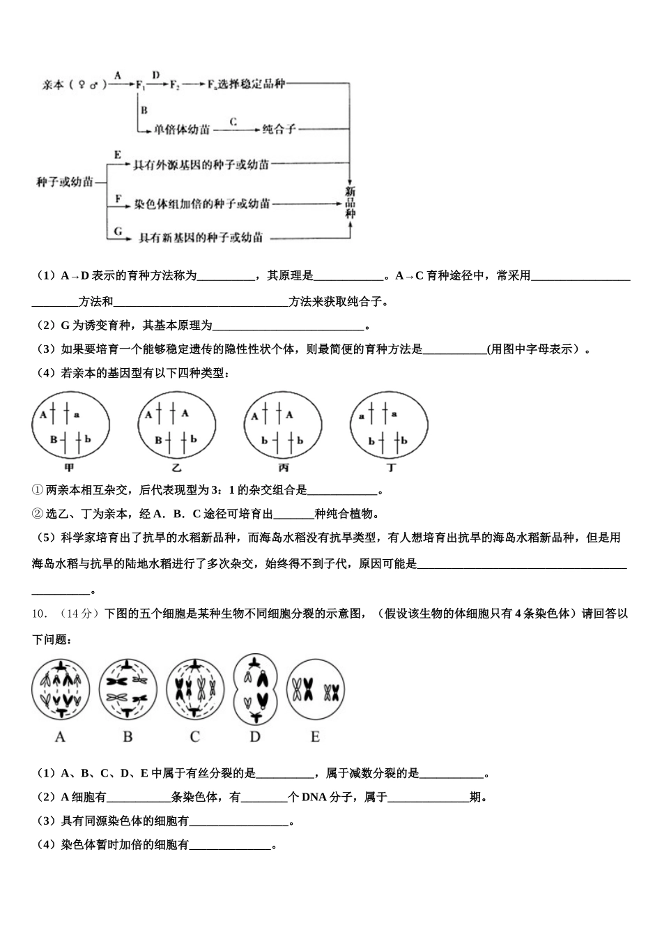 2024-2025学年云南省玉溪市民族中学高一下生物期末考试模拟试题含解析_第3页