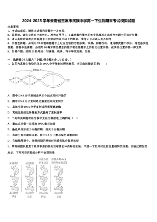 2024-2025学年云南省玉溪市民族中学高一下生物期末考试模拟试题含解析