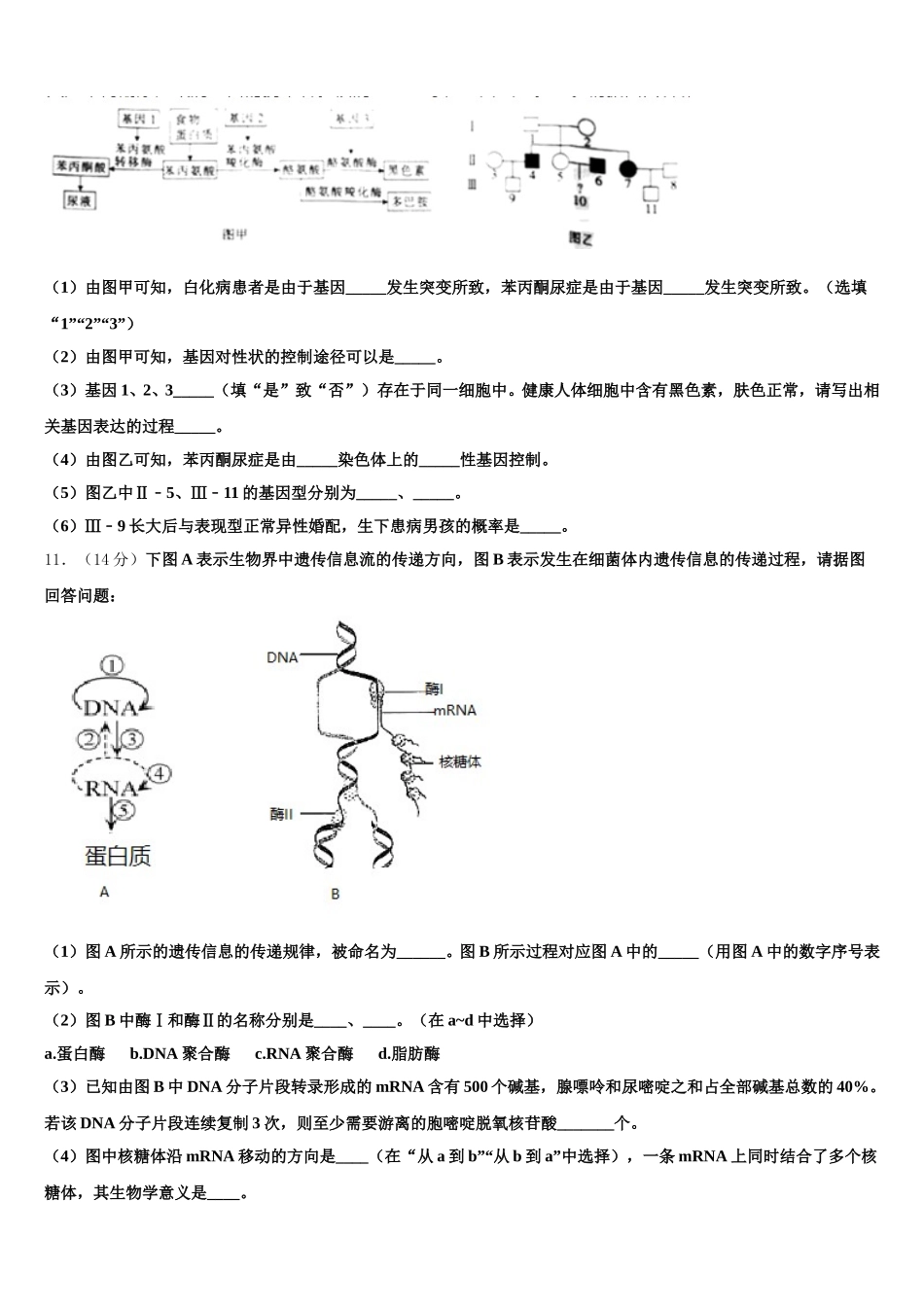 云南省曲靖市宣威市第五中学2024-2025学年生物高一第二学期期末质量跟踪监视试题含解析_第3页