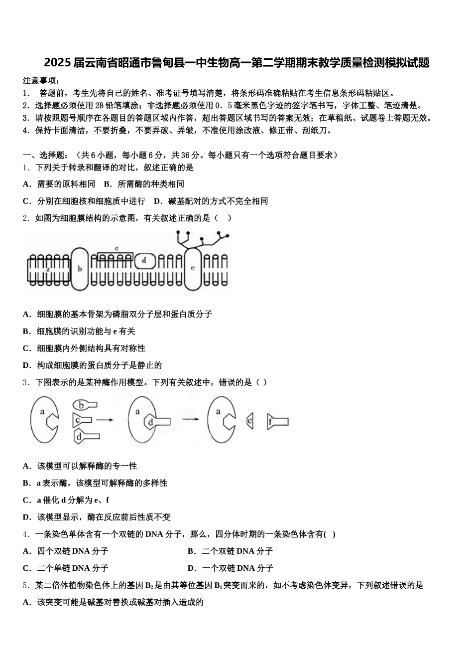 2025届云南省昭通市鲁甸县一中生物高一第二学期期末教学质量检测模拟试题含解析_第1页