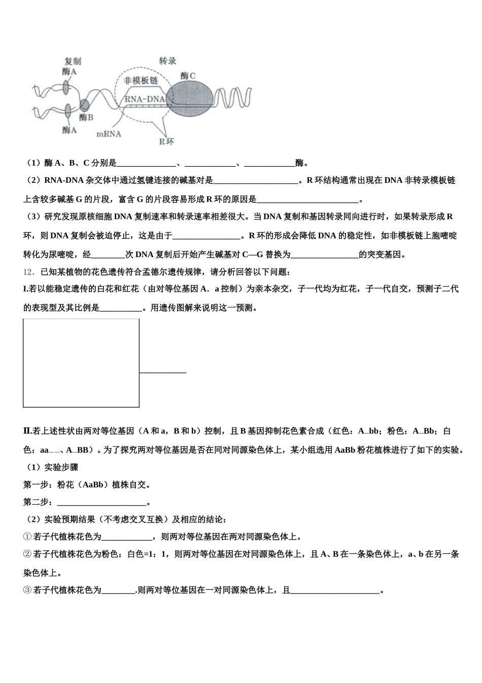 2025年云南省永仁县一中生物高一下期末经典试题含解析_第3页