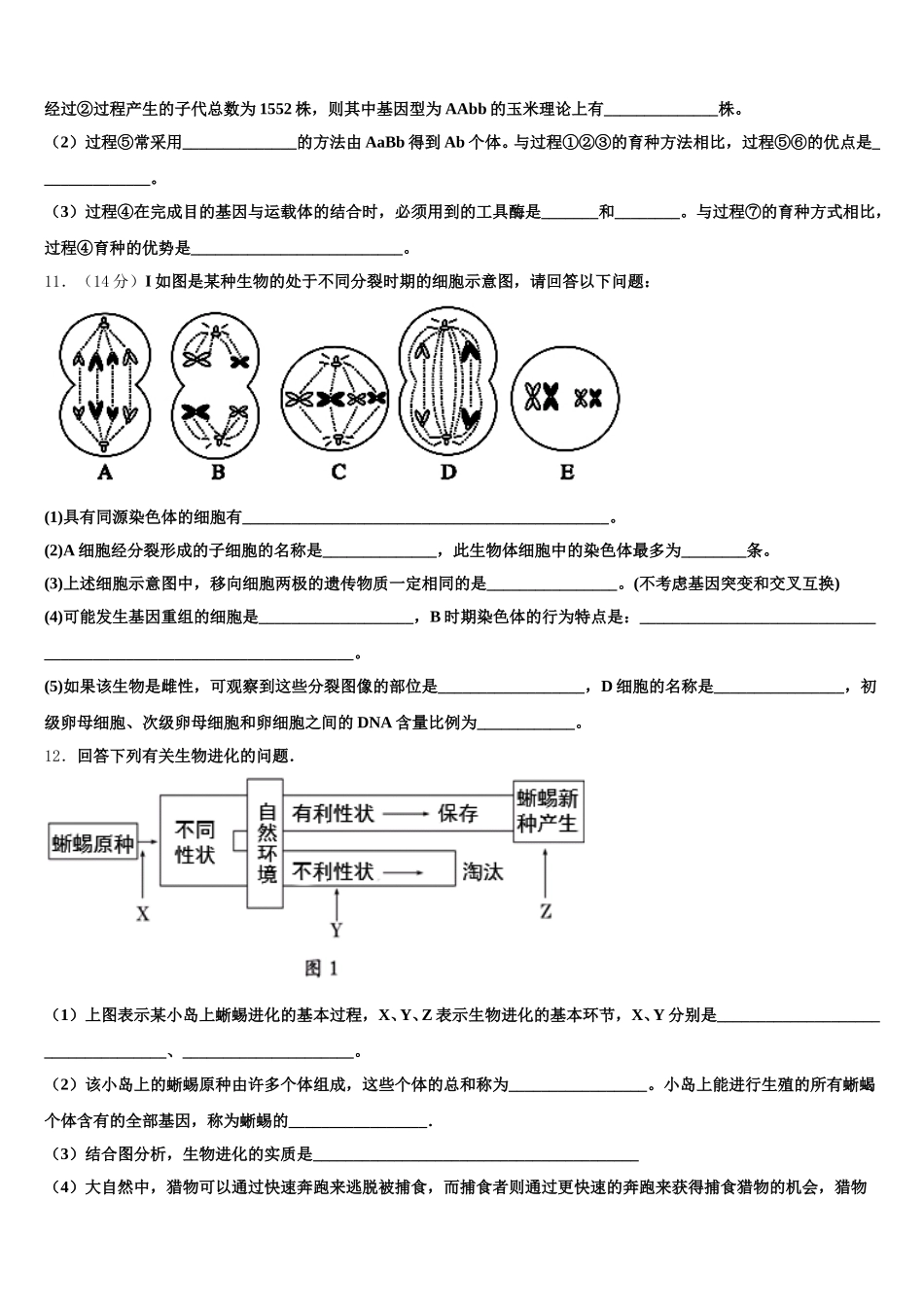 曲靖市重点中学2025年高一下生物期末综合测试模拟试题含解析_第3页