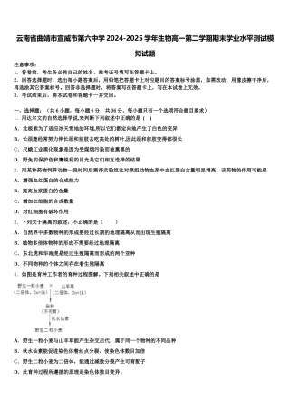云南省曲靖市宣威市第六中学2024-2025学年生物高一第二学期期末学业水平测试模拟试题含解析