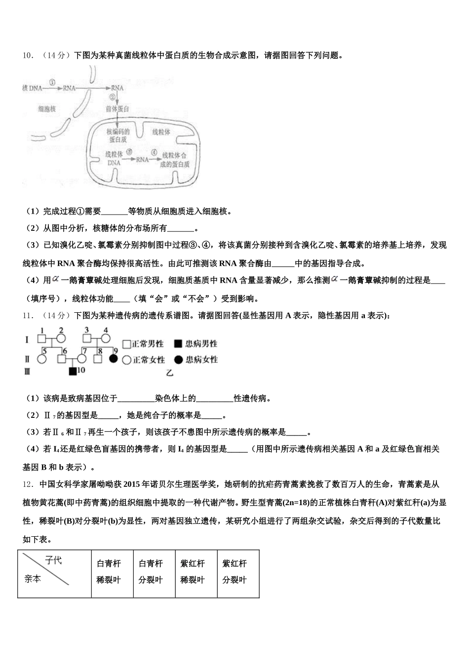 2025届云南省文山州五中高一生物第二学期期末学业水平测试模拟试题含解析_第3页