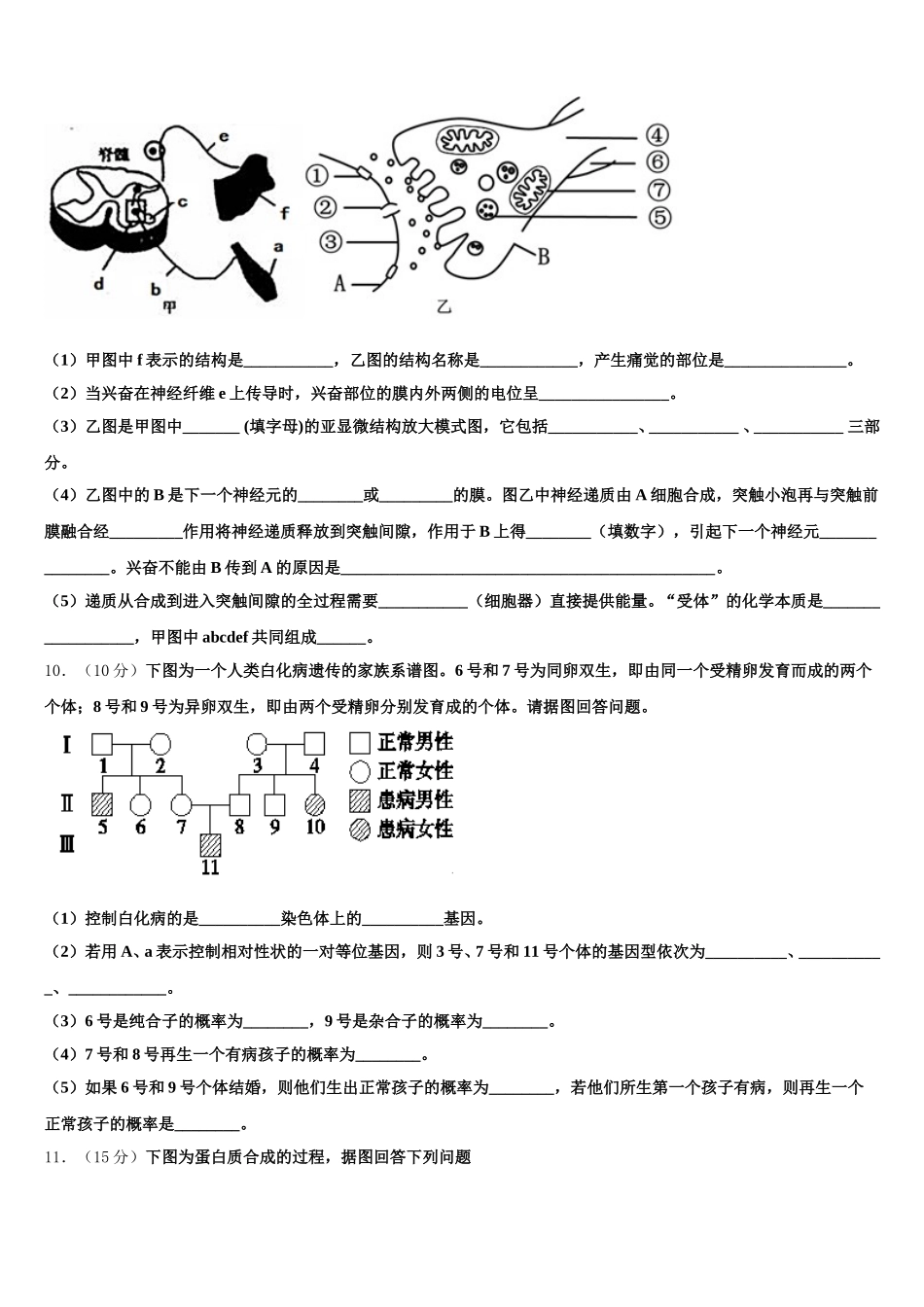 云南省曲靖市宣威民族中学2024-2025学年生物高一下期末学业质量监测模拟试题含解析_第3页