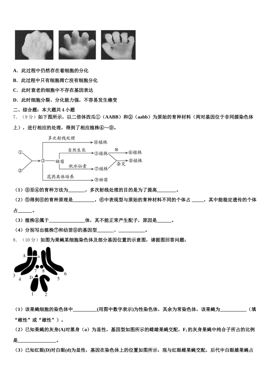 2025届云南省通海三中生物高一下期末统考试题含解析_第2页
