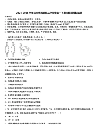2024-2025学年云南省西畴县二中生物高一下期末监测模拟试题含解析