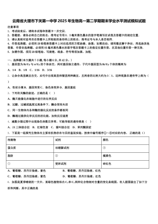 云南省大理市下关第一中学2025年生物高一第二学期期末学业水平测试模拟试题含解析