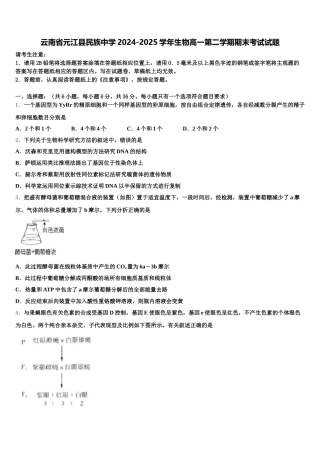 云南省元江县民族中学2024-2025学年生物高一第二学期期末考试试题含解析
