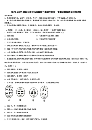 2024-2025学年云南省巧家县第三中学生物高一下期末教学质量检测试题含解析