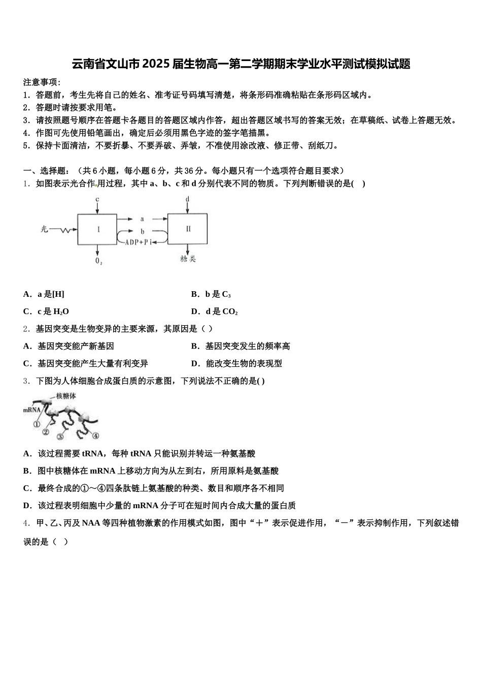 云南省文山市2025届生物高一第二学期期末学业水平测试模拟试题含解析_第1页