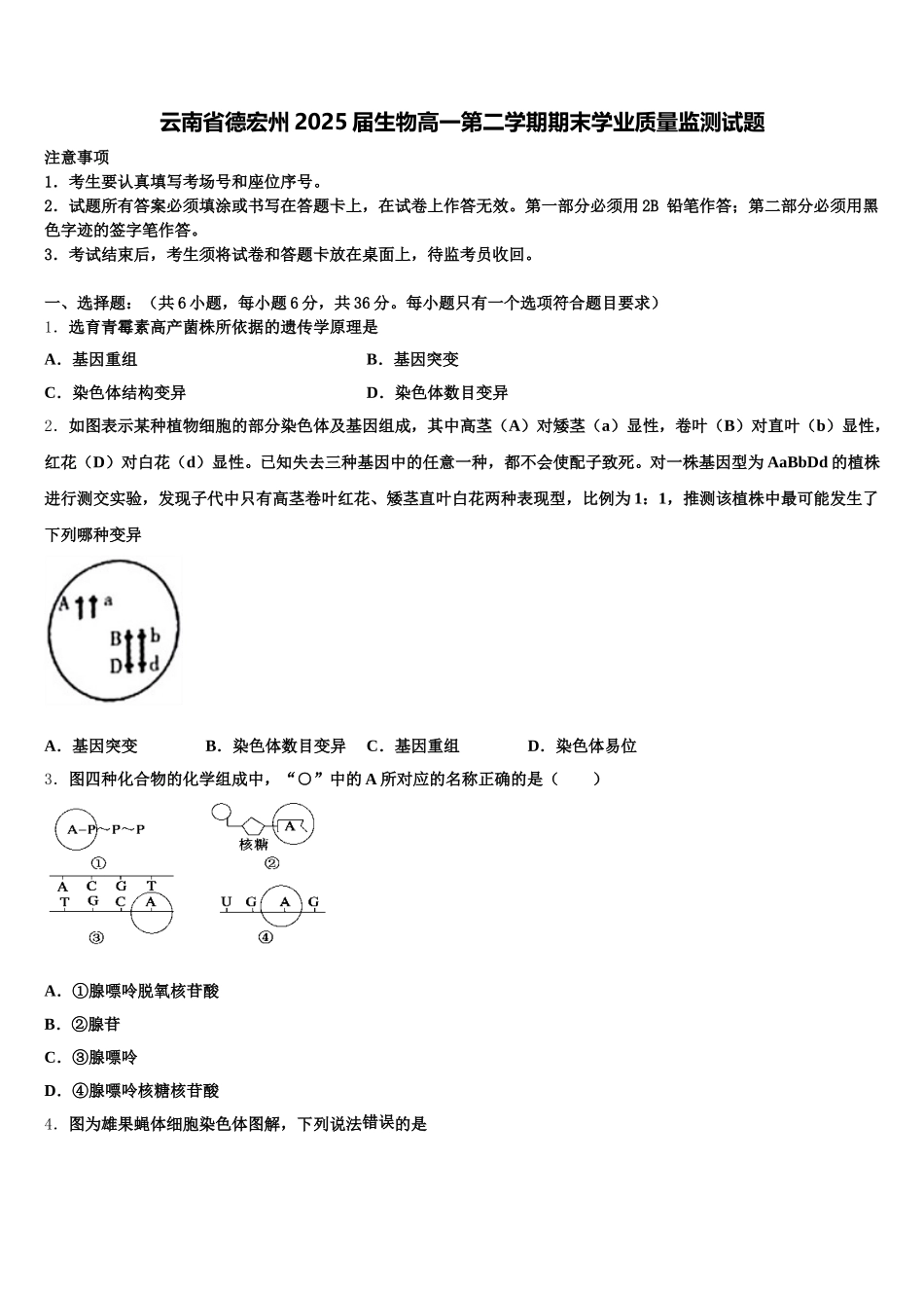 云南省德宏州2025届生物高一第二学期期末学业质量监测试题含解析_第1页