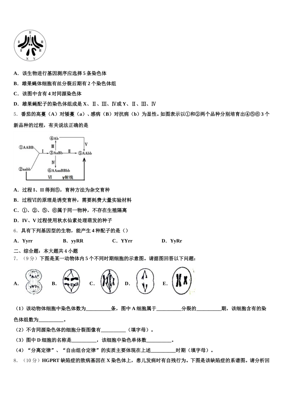 云南省德宏州2025届生物高一第二学期期末学业质量监测试题含解析_第2页