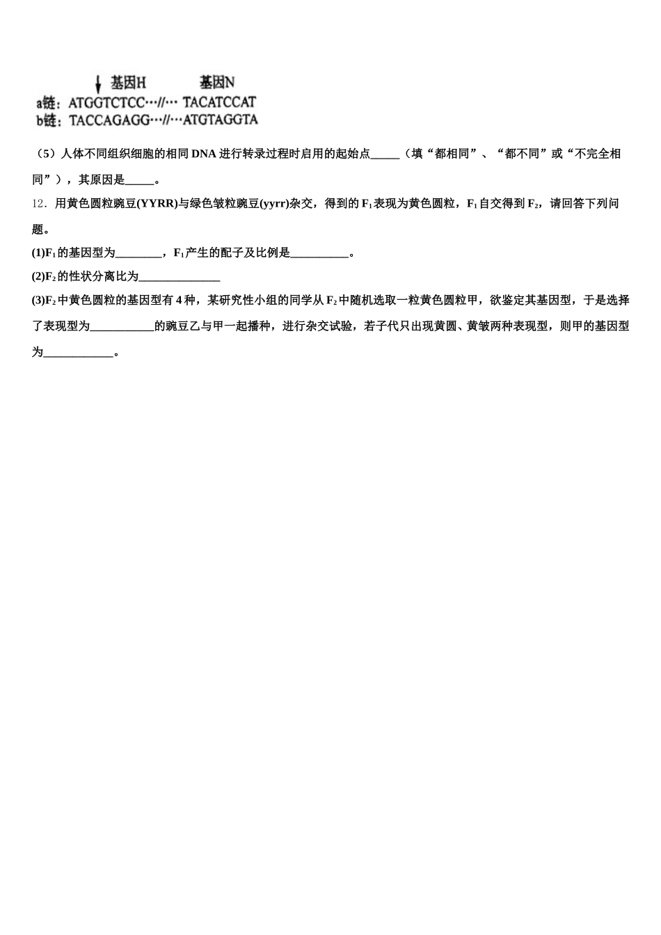 云南省昭通市昭阳区建飞中学2025年生物高一下期末教学质量检测试题含解析_第3页