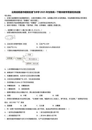 云南省昭通市昭阳区建飞中学2025年生物高一下期末教学质量检测试题含解析
