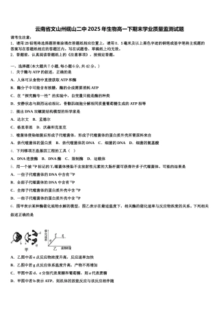 云南省文山州砚山二中2025年生物高一下期末学业质量监测试题含解析