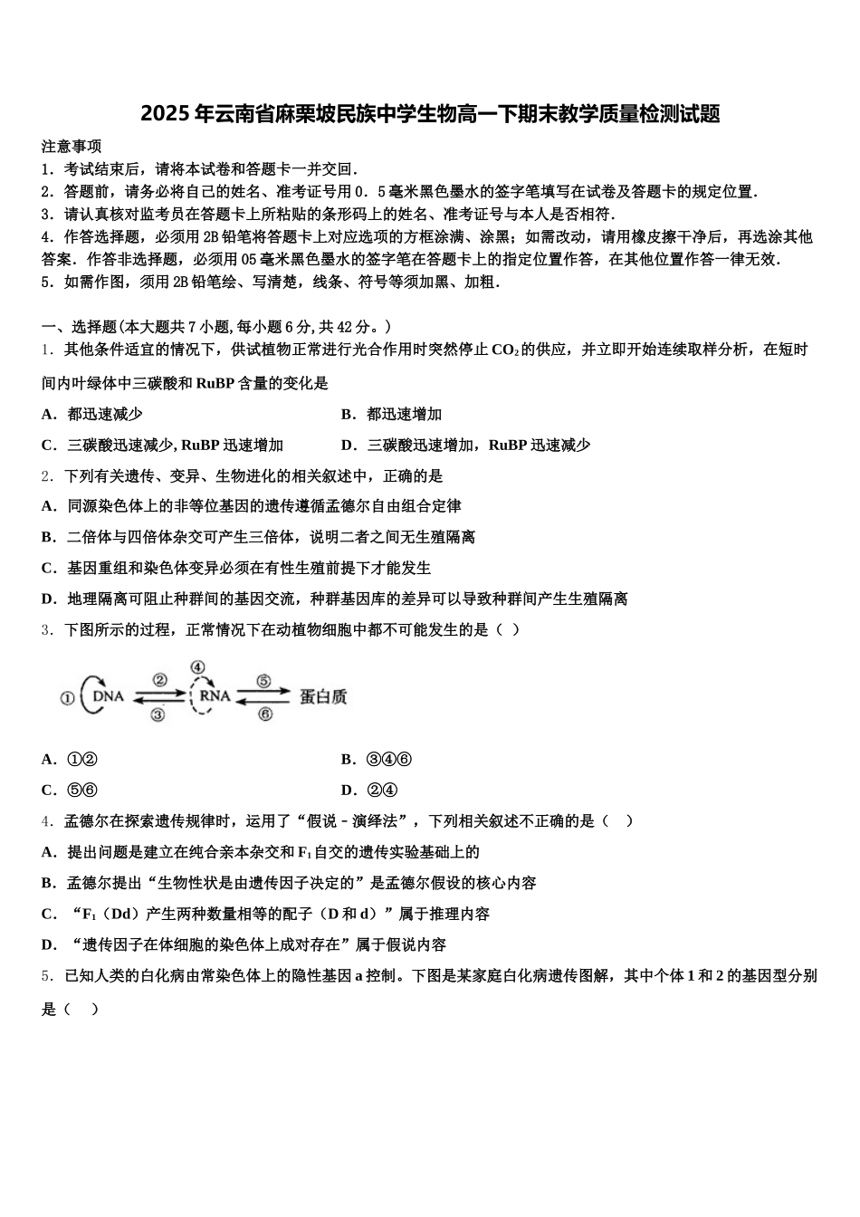 2025年云南省麻栗坡民族中学生物高一下期末教学质量检测试题含解析_第1页