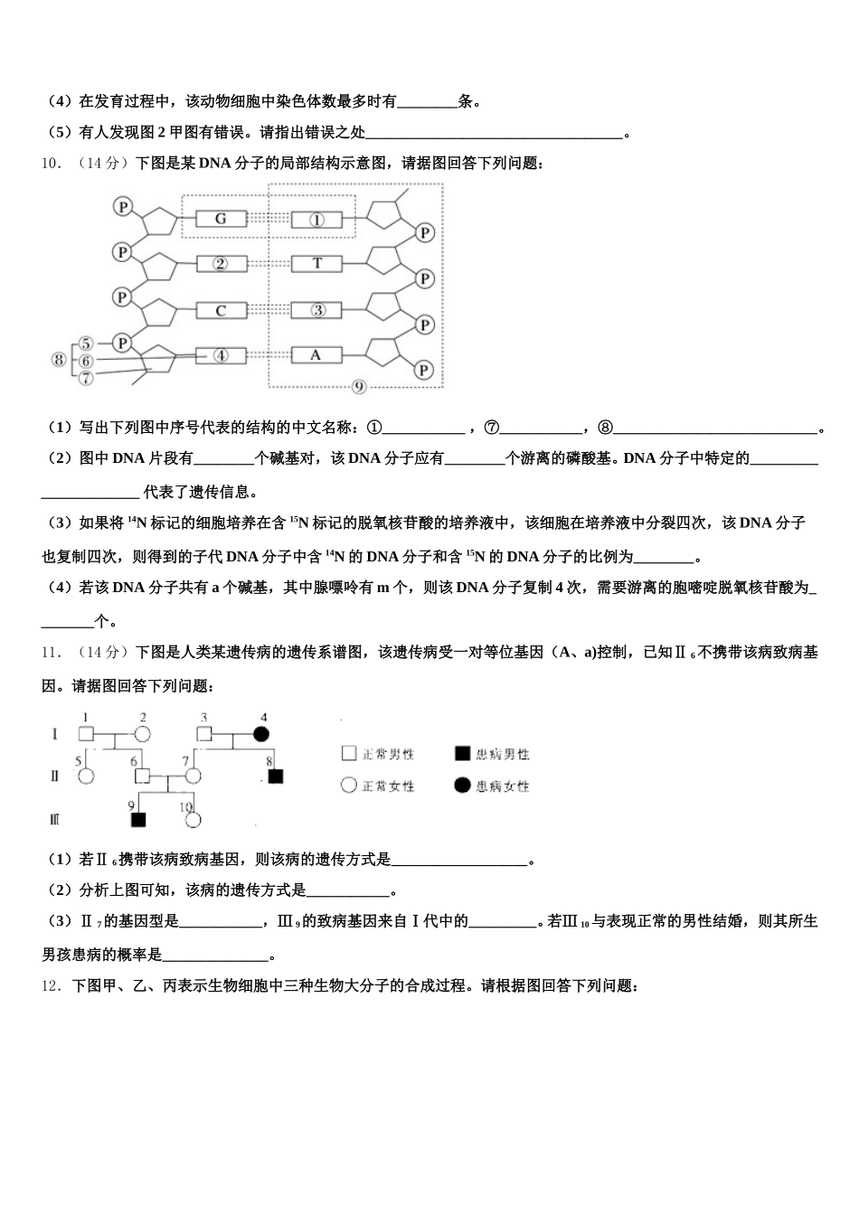 2025年云南省麻栗坡民族中学生物高一下期末教学质量检测试题含解析_第3页