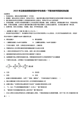 2025年云南省麻栗坡民族中学生物高一下期末教学质量检测试题含解析