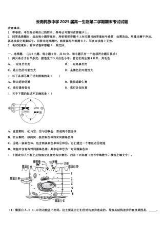 云南民族中学2025届高一生物第二学期期末考试试题含解析