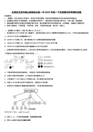 云南省玉溪市峨山彝族自治县一中2025年高一下生物期末统考模拟试题含解析