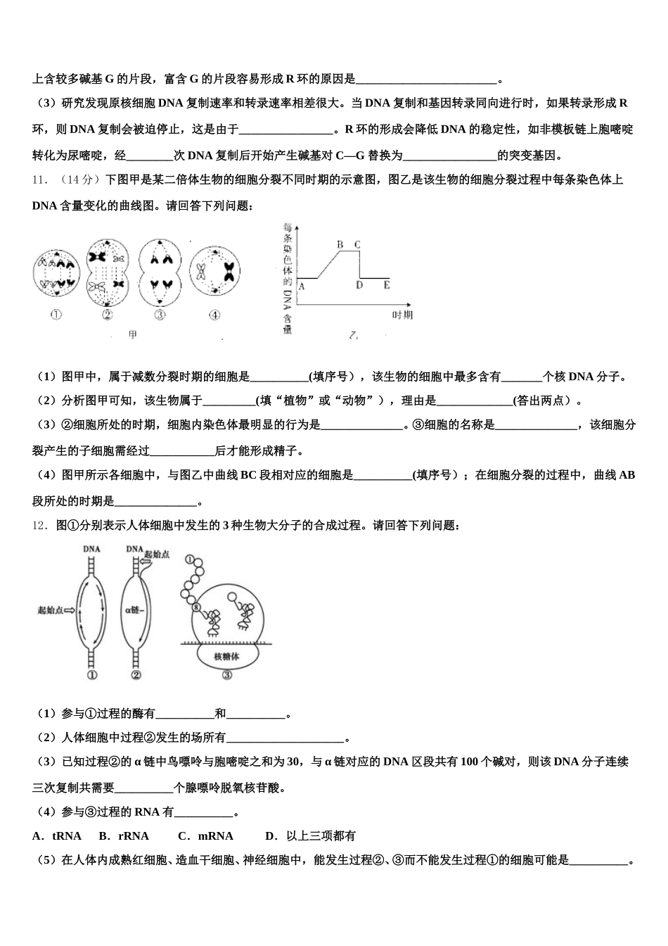 2025年云南省玉溪市元江县一中生物高一第二学期期末综合测试模拟试题含解析_第3页