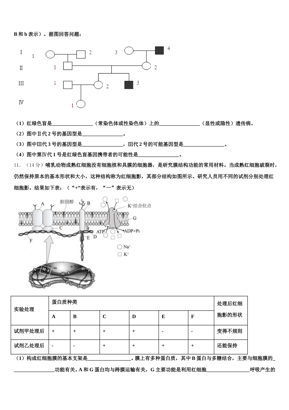 云南省彝良县一中2024-2025学年生物高一第二学期期末质量检测模拟试题含解析_第3页