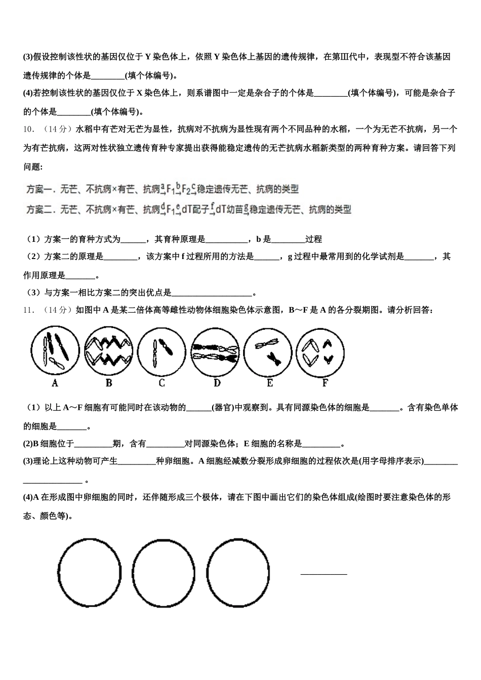 2024-2025学年云南省文山州砚山二中高一下生物期末检测模拟试题含解析_第3页
