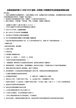 云南省宣威市第十二中学2025届高一生物第二学期期末学业质量监测模拟试题含解析