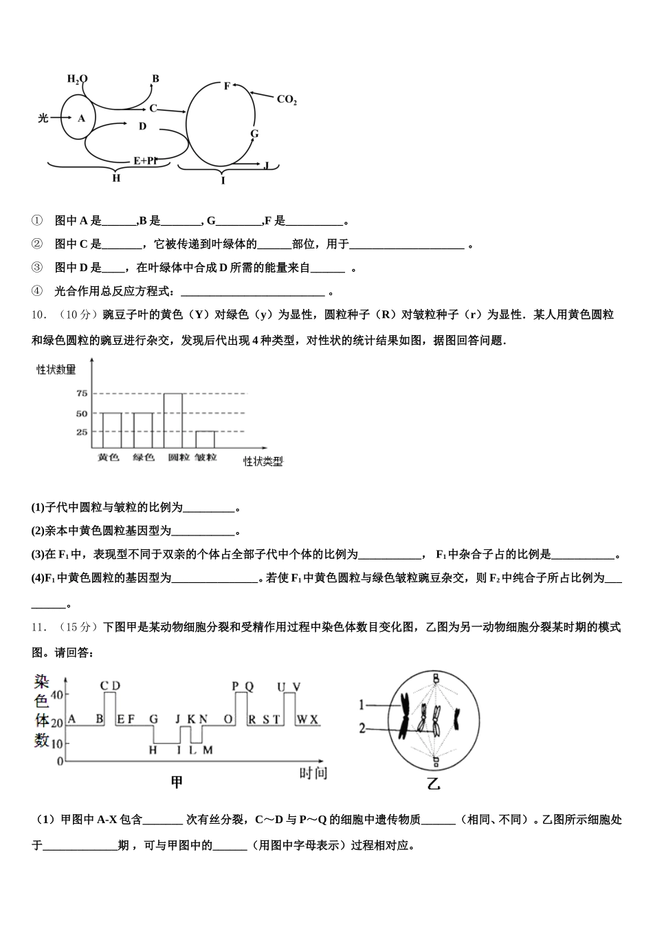 云南省江川一中2025年生物高一第二学期期末统考试题含解析_第3页