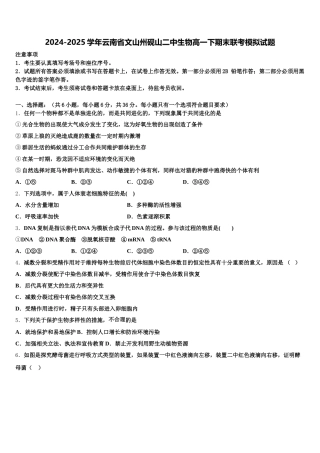 2024-2025学年云南省文山州砚山二中生物高一下期末联考模拟试题含解析