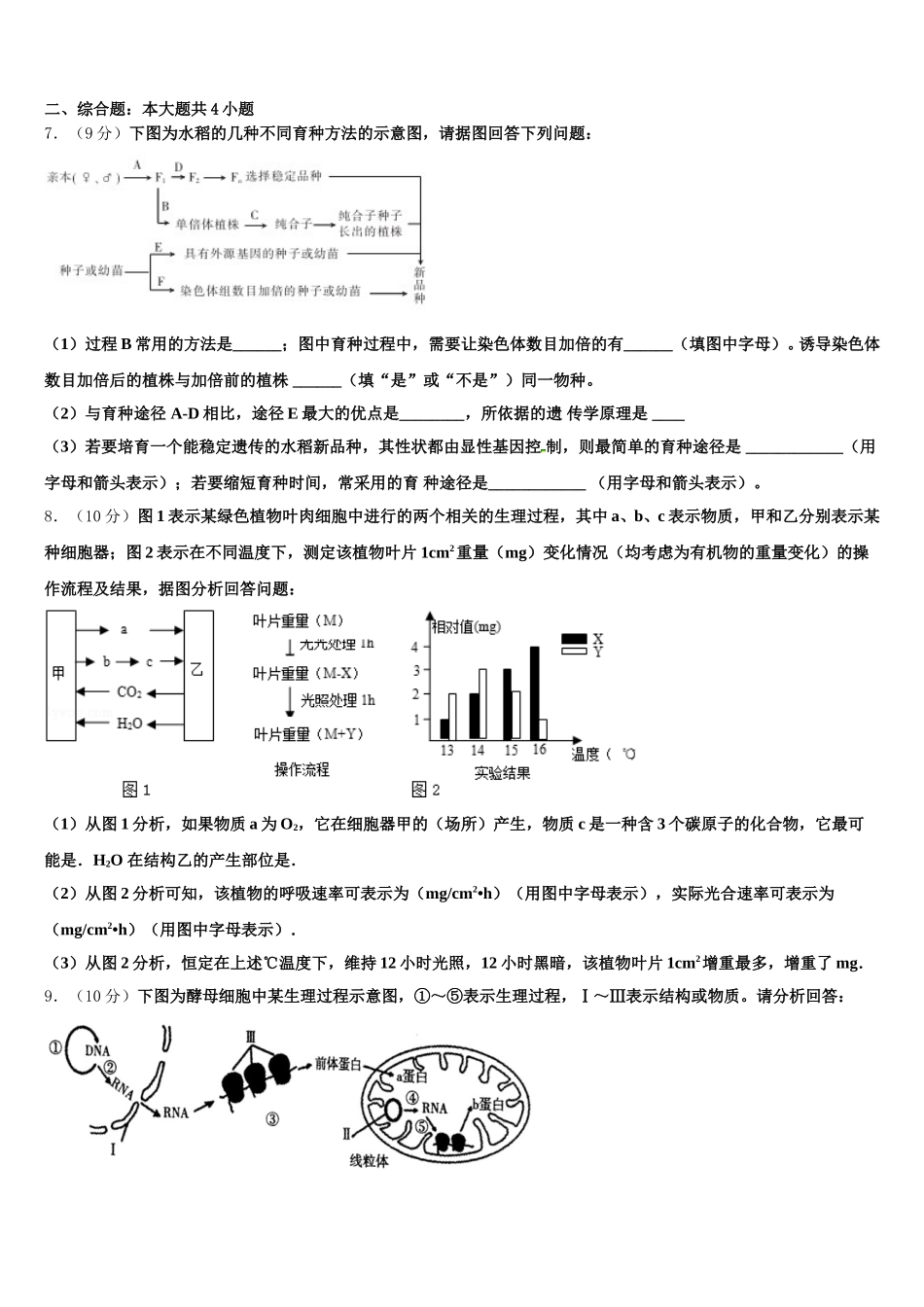 2025届云南省德宏市高一下生物期末质量跟踪监视试题含解析_第2页