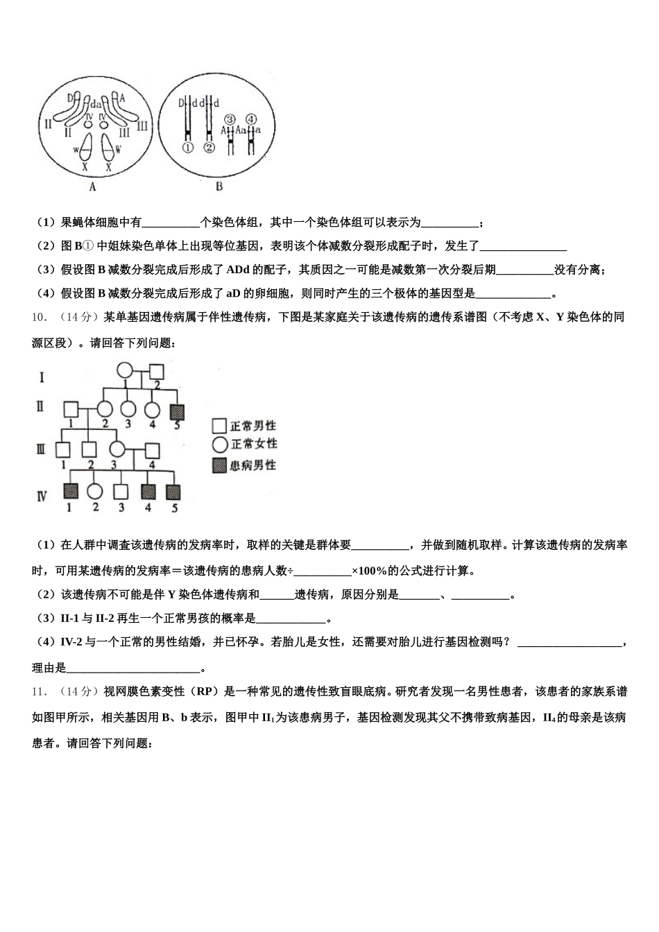 云南省师大实验中学2025年生物高一下期末调研模拟试题含解析_第3页