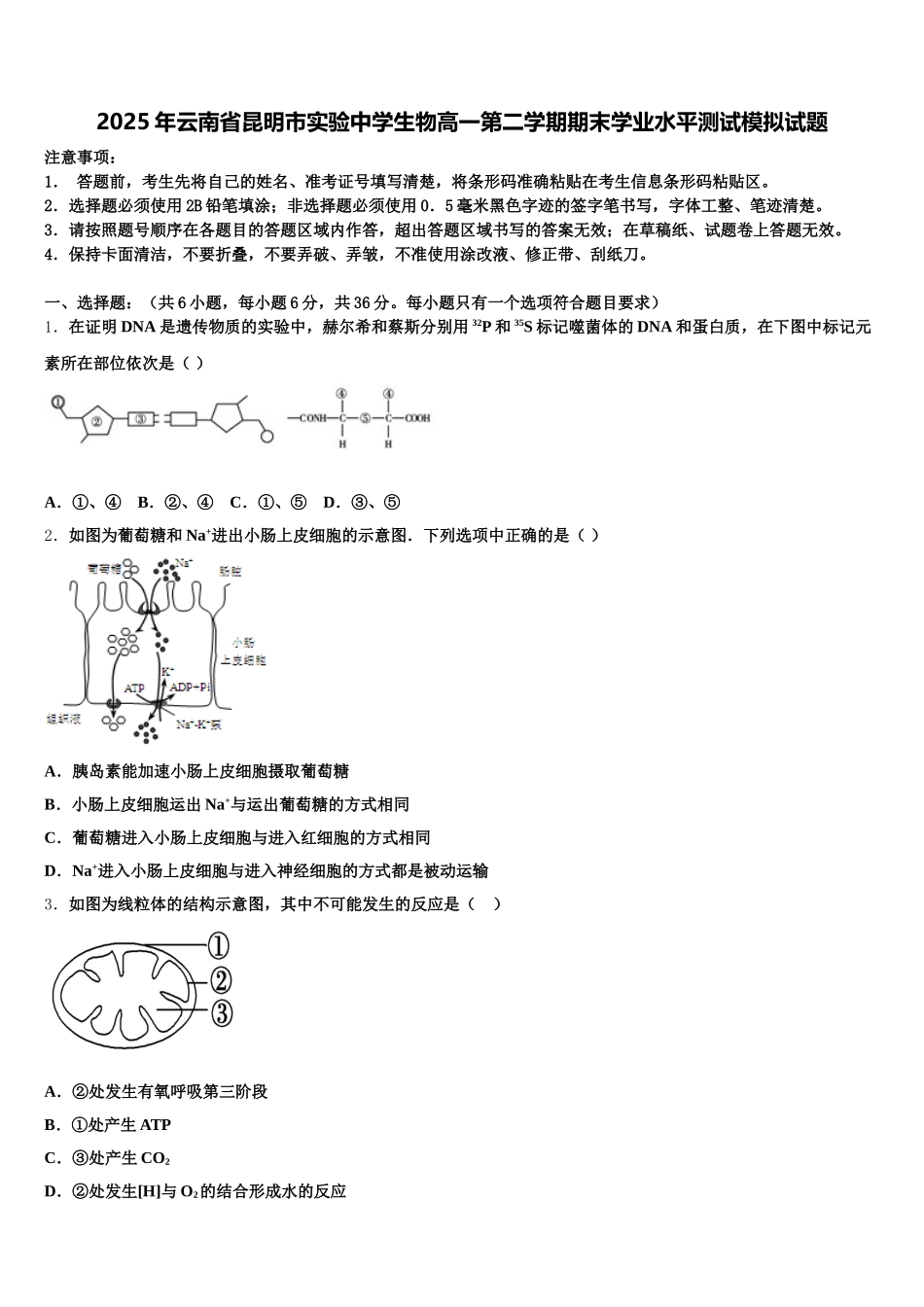 2025年云南省昆明市实验中学生物高一第二学期期末学业水平测试模拟试题含解析_第1页