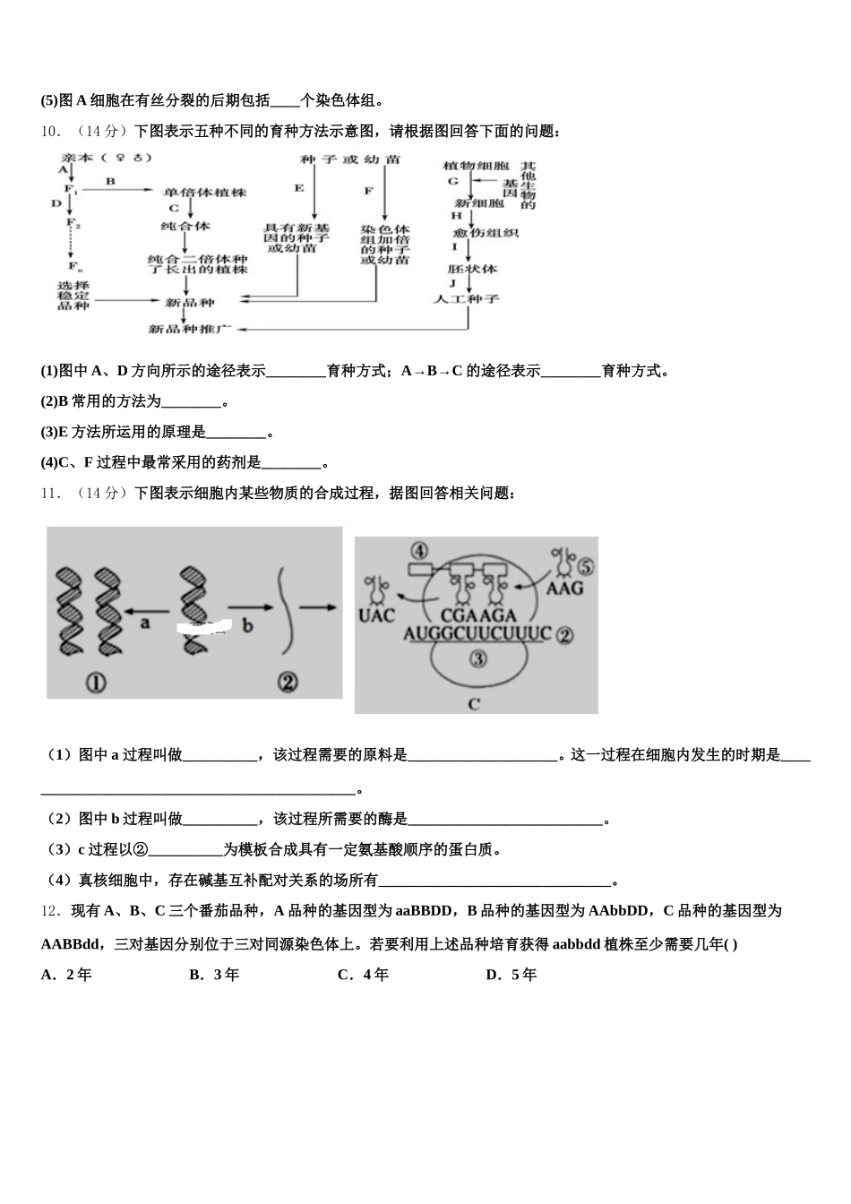 云南省华宁二中2024-2025学年生物高一下期末调研模拟试题含解析_第3页