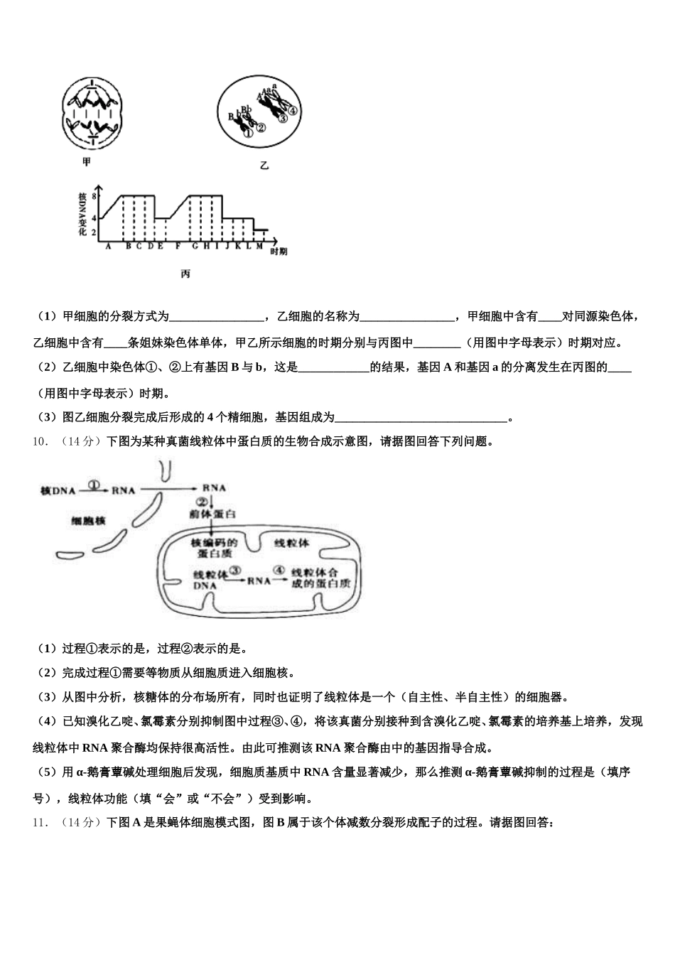 2024-2025学年云南省新平一中高一生物第二学期期末联考模拟试题含解析_第3页