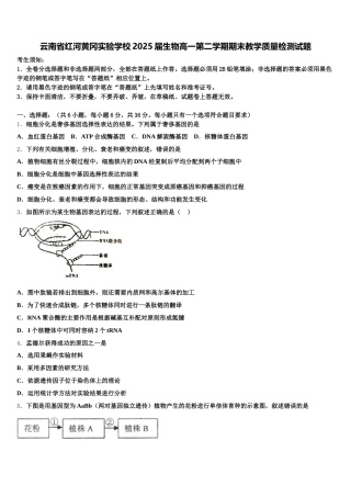 云南省红河黄冈实验学校2025届生物高一第二学期期末教学质量检测试题含解析