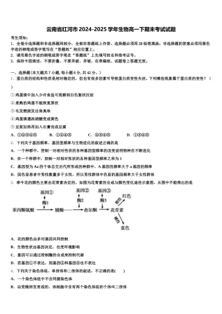 云南省红河市2024-2025学年生物高一下期末考试试题含解析