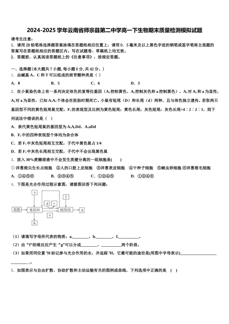 2024-2025学年云南省师宗县第二中学高一下生物期末质量检测模拟试题含解析_第1页