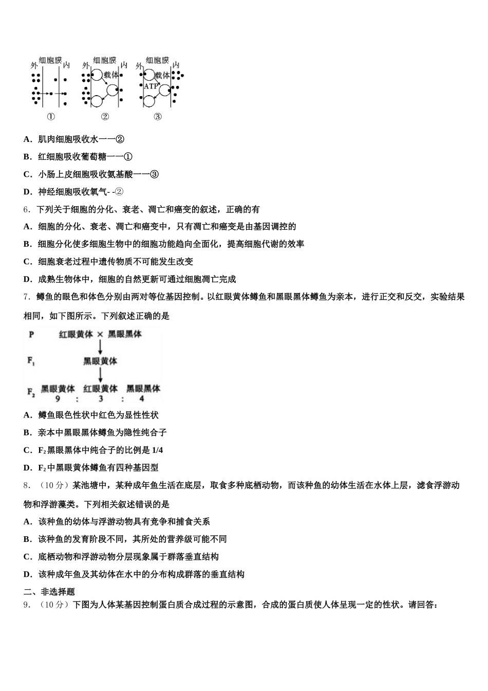 2024-2025学年云南省师宗县第二中学高一下生物期末质量检测模拟试题含解析_第2页